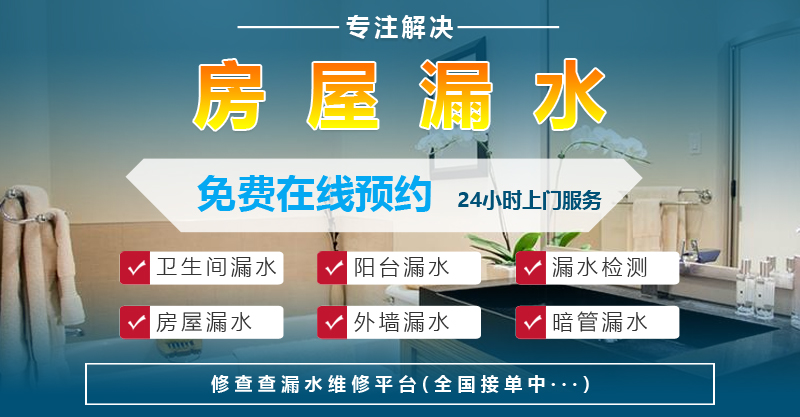 水查查技術(shù)服務(wù)公司官網(wǎng)建設(shè)
